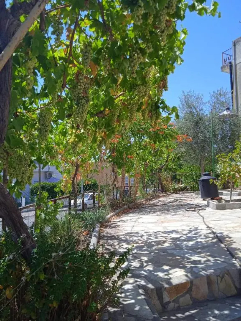 Alojamento local Os Maias