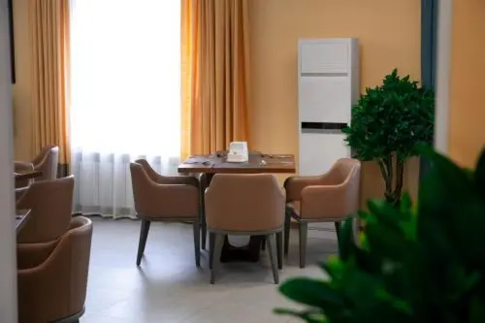 Green Which Tourist Borovoye