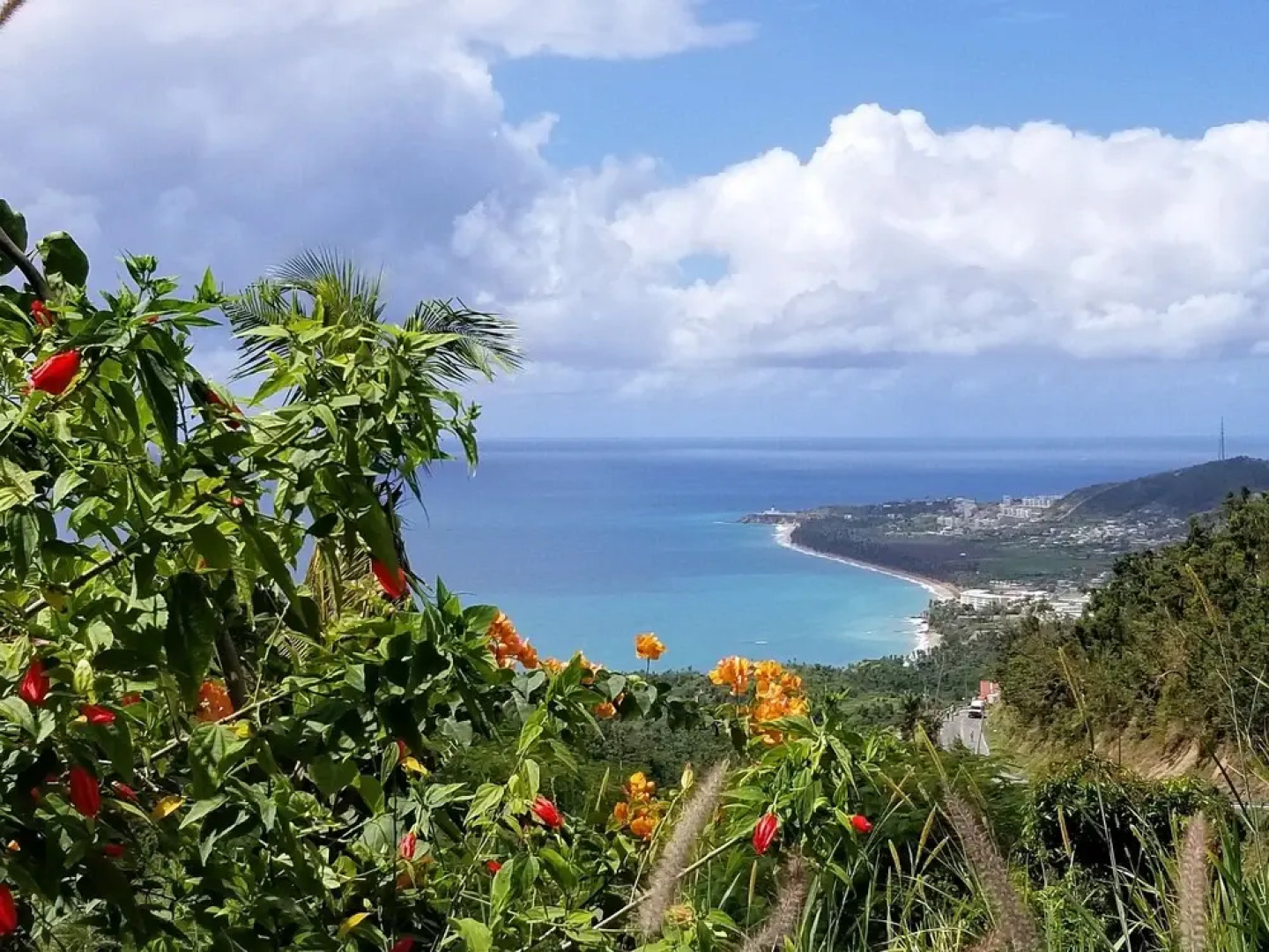 Aqua Luna Vacation Rentals