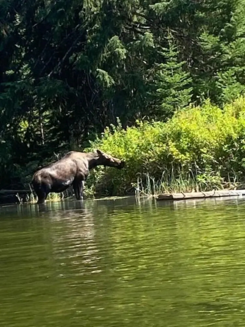 The Smitty Place by Casago Mccall - Donerightmanagement