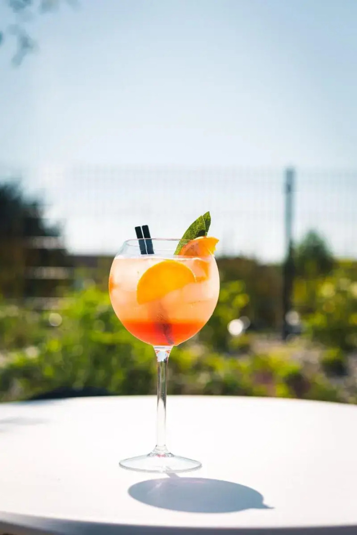 Wellness Hotel Volarik