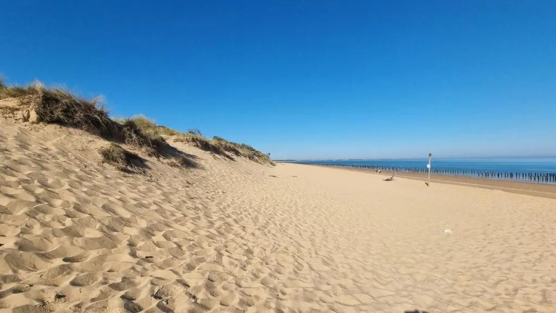 Domaine de Rochebonne