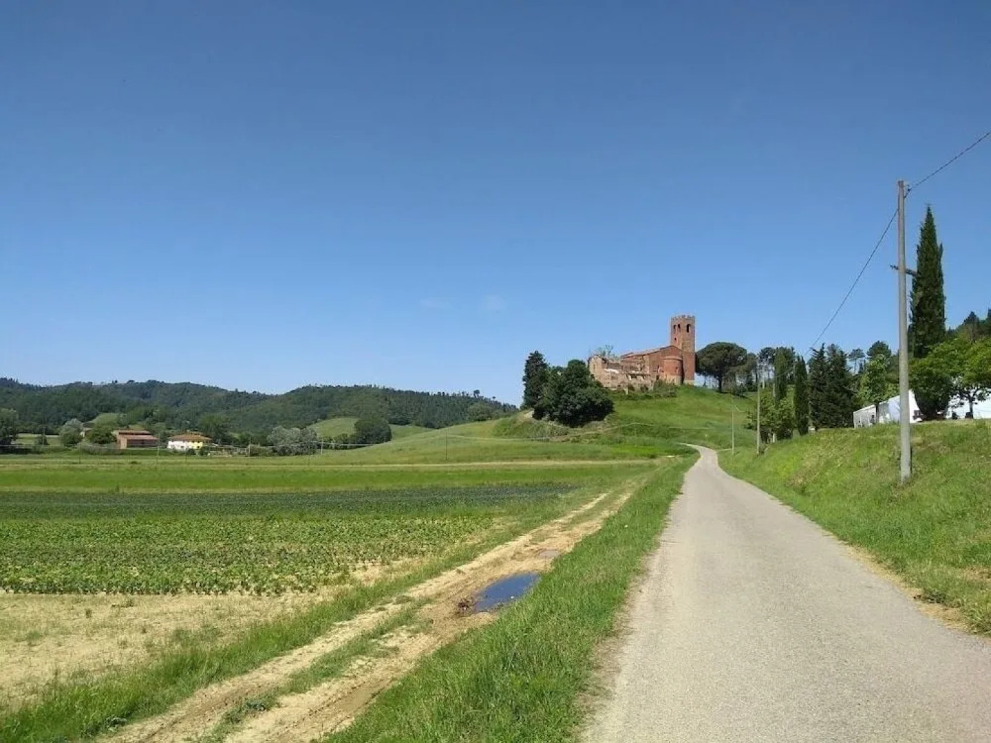 Fattoria Di Corazzano