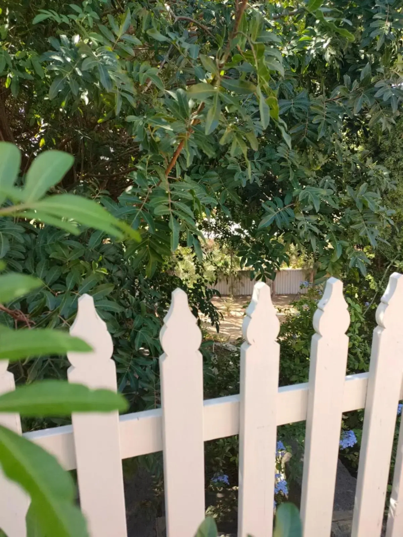 Yanchep Seaside Cottage