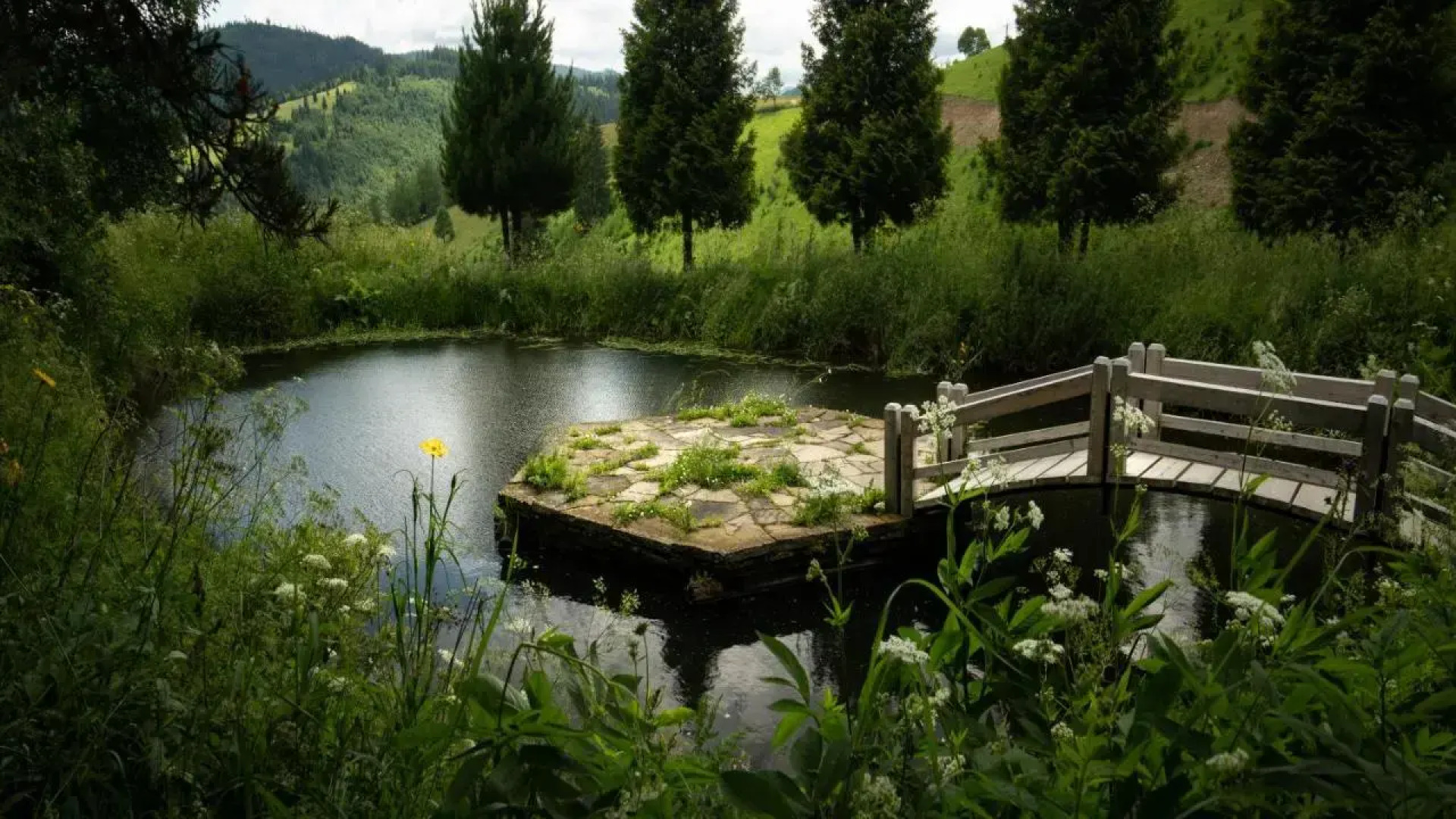 Pensiunea Poiana Izvoarelor