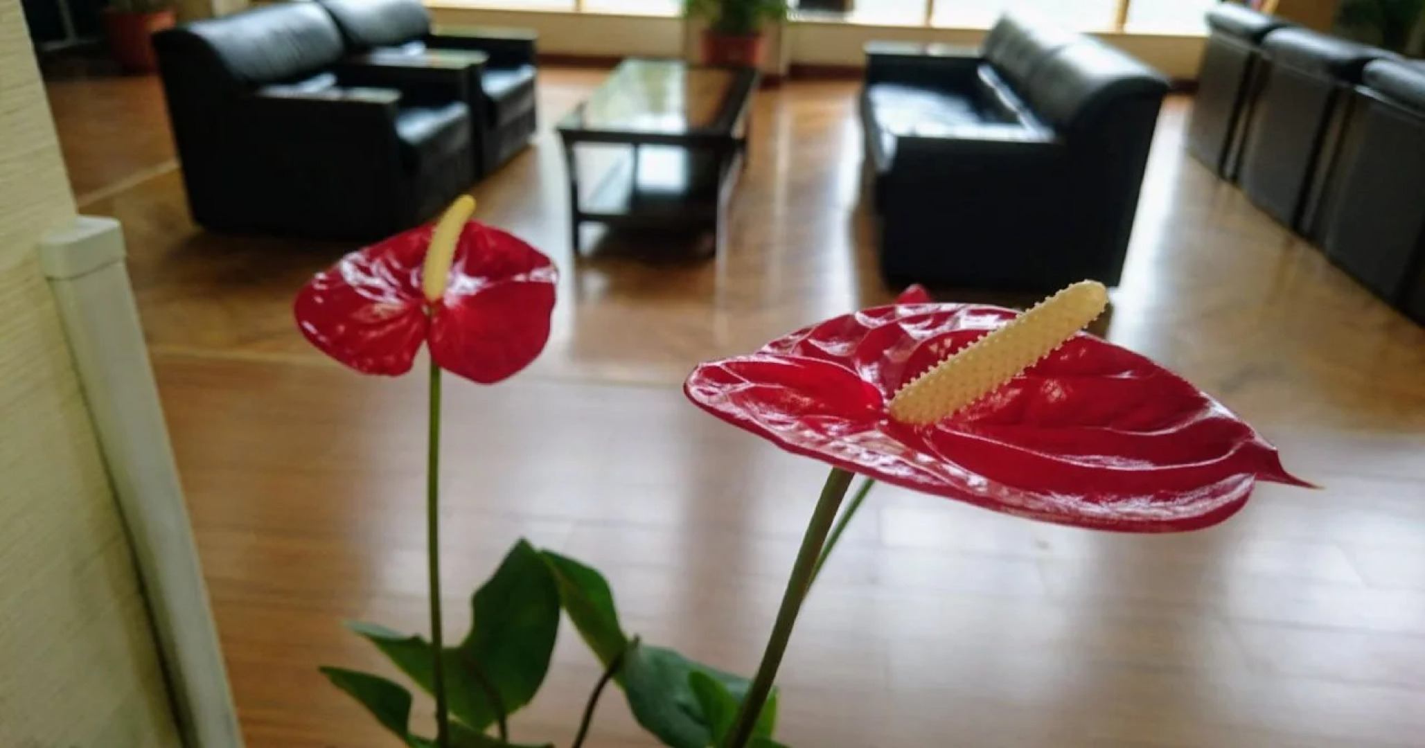 Hotel Kofukaku Kuwarubi