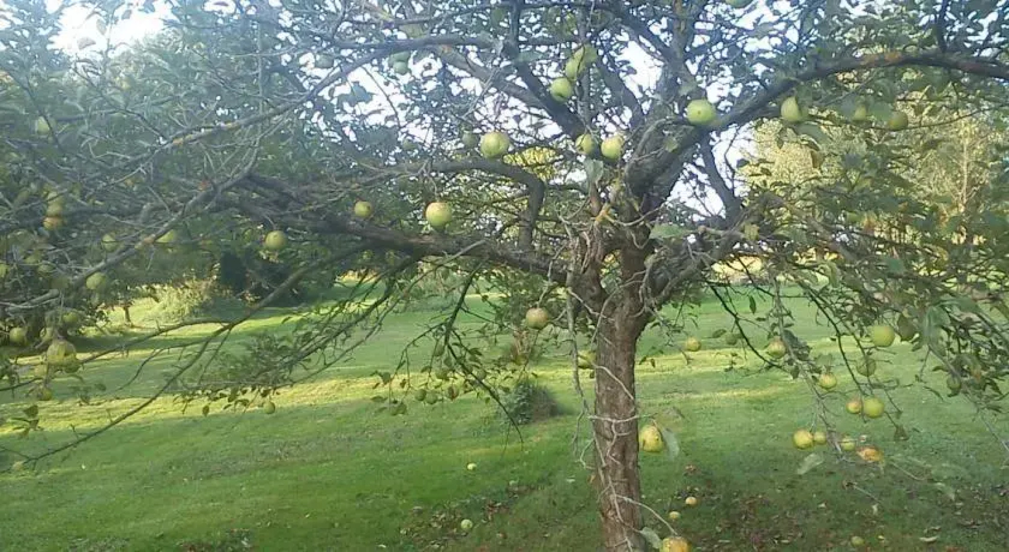 Taligakerék Vendégház