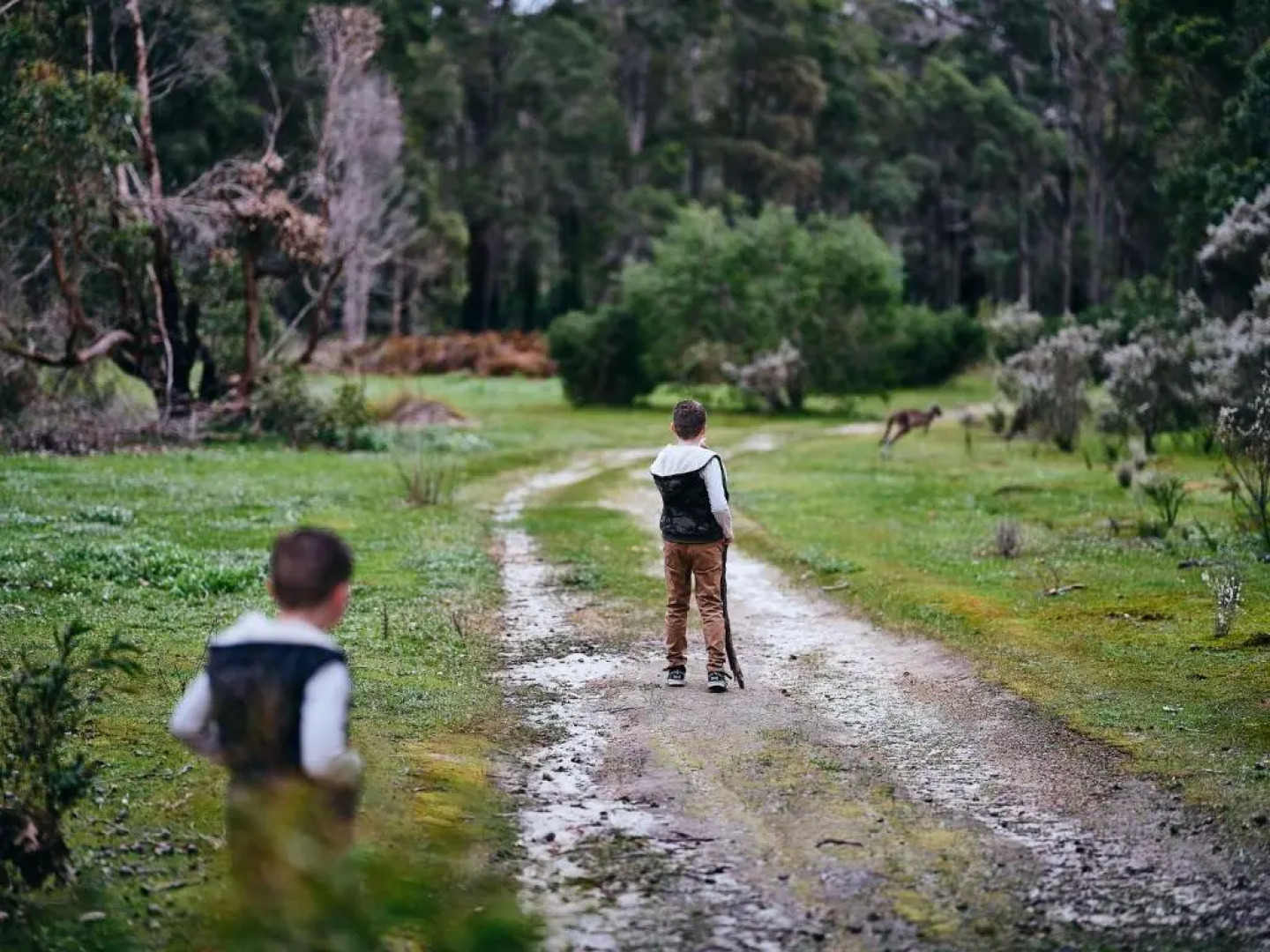 Eight Willows Retreat