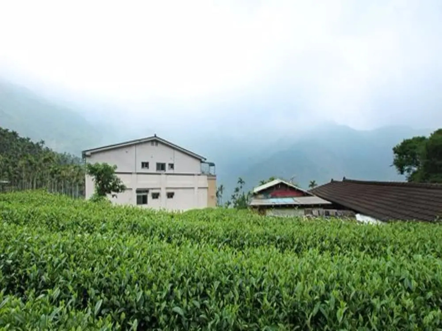 Deren Tea Garden B&B