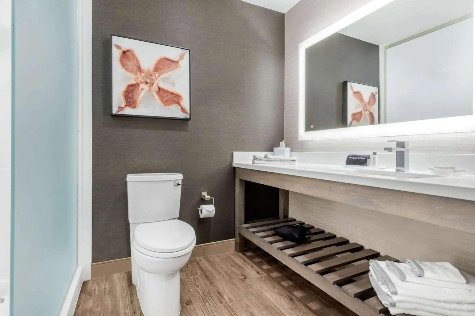 Cambria Hotel Fort Mill