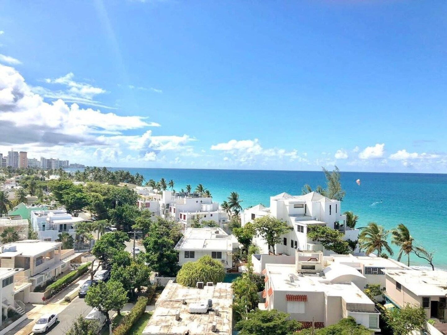 Starfish by the Ocean