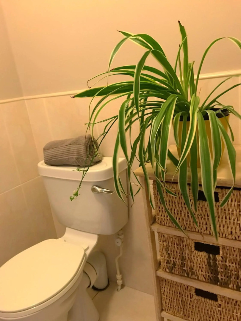 Immaculate home in central Westport