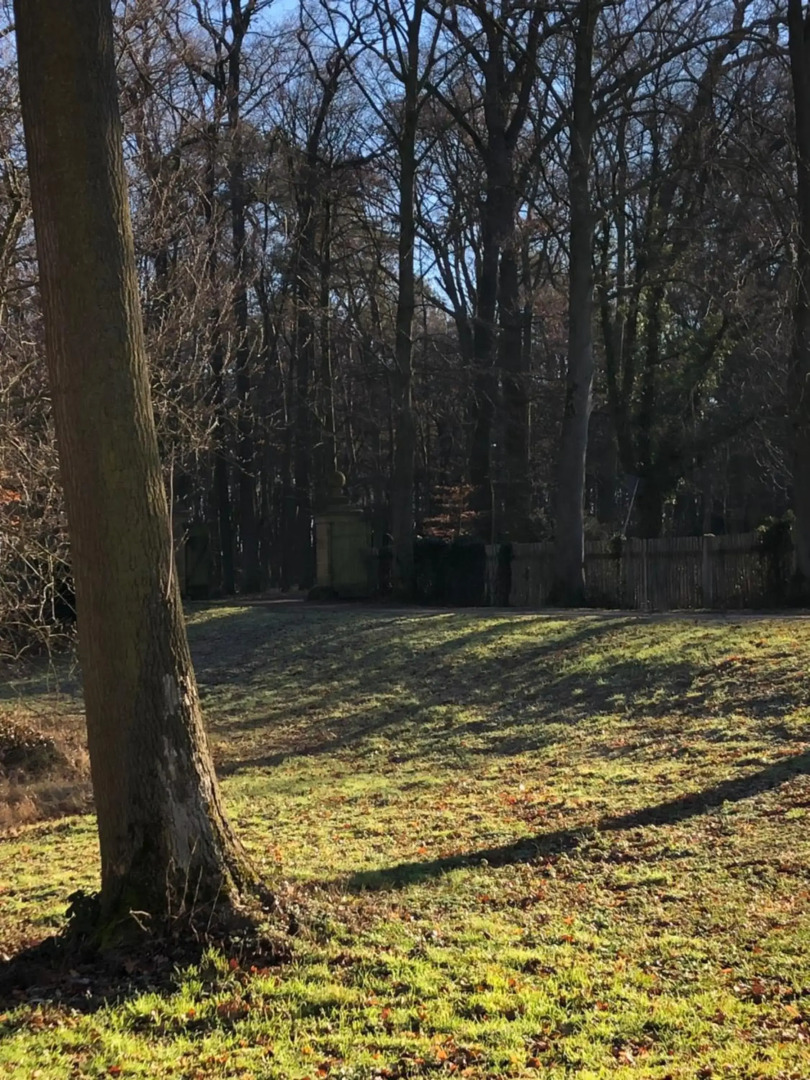 Hotel am Doktorplatz