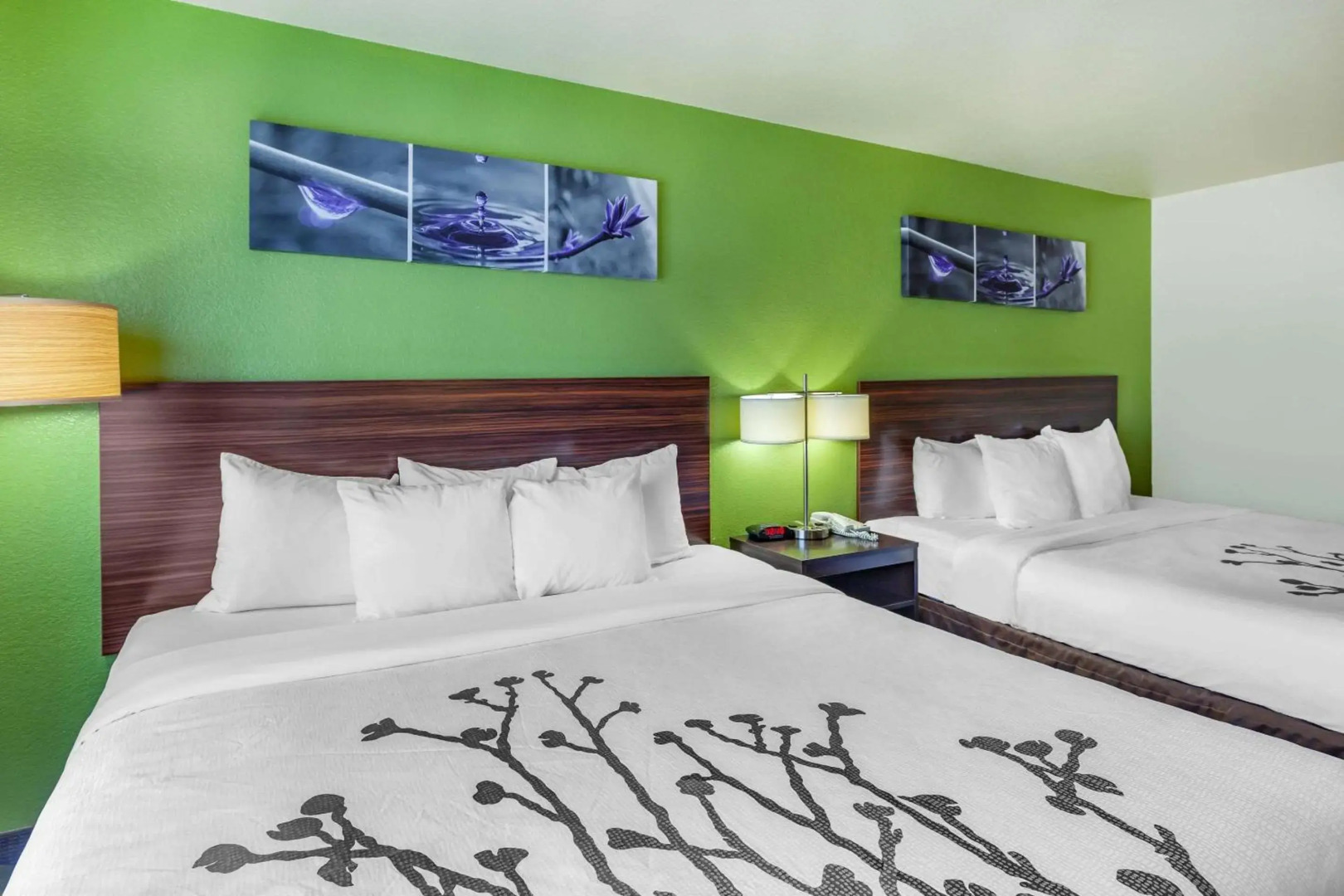 Sleep Inn & Suites Hewitt - South Waco