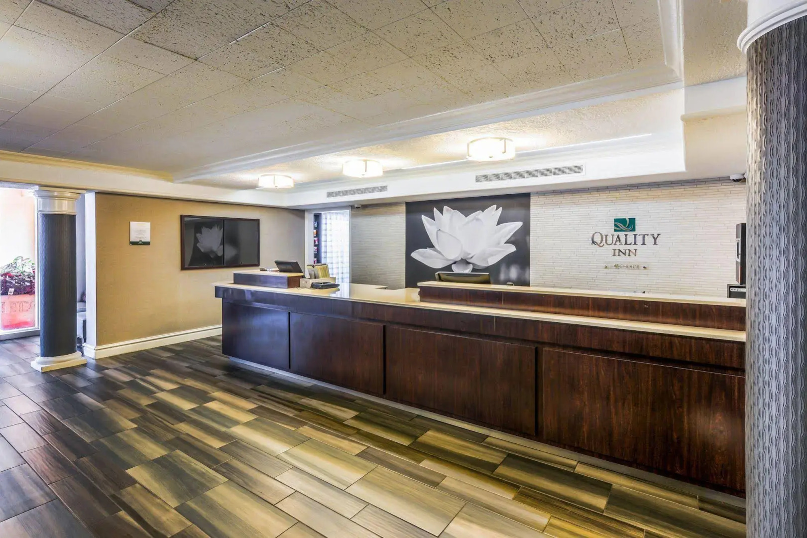 Quality Inn & Suites North Charleston - Ashley Phosphate