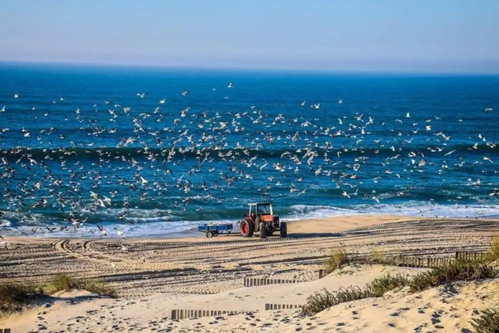 Apartment With 3 Bedrooms in Praia de Mira, With Wonderful sea View, Furnished Balcony and Wifi Near the Beach