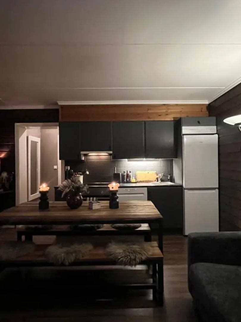 Nice apartment with Sauna and ski in out Trysil