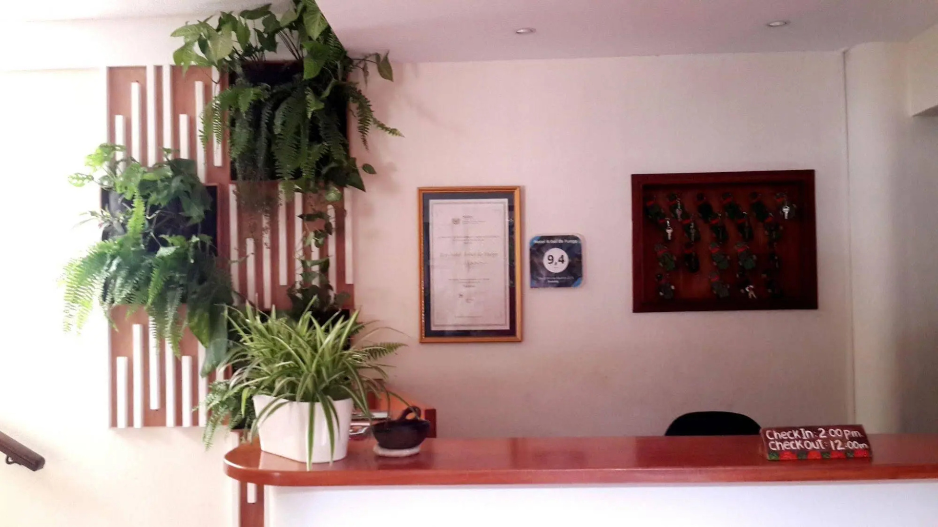 Árbol de Fuego Eco-hotel, a green experience in the city