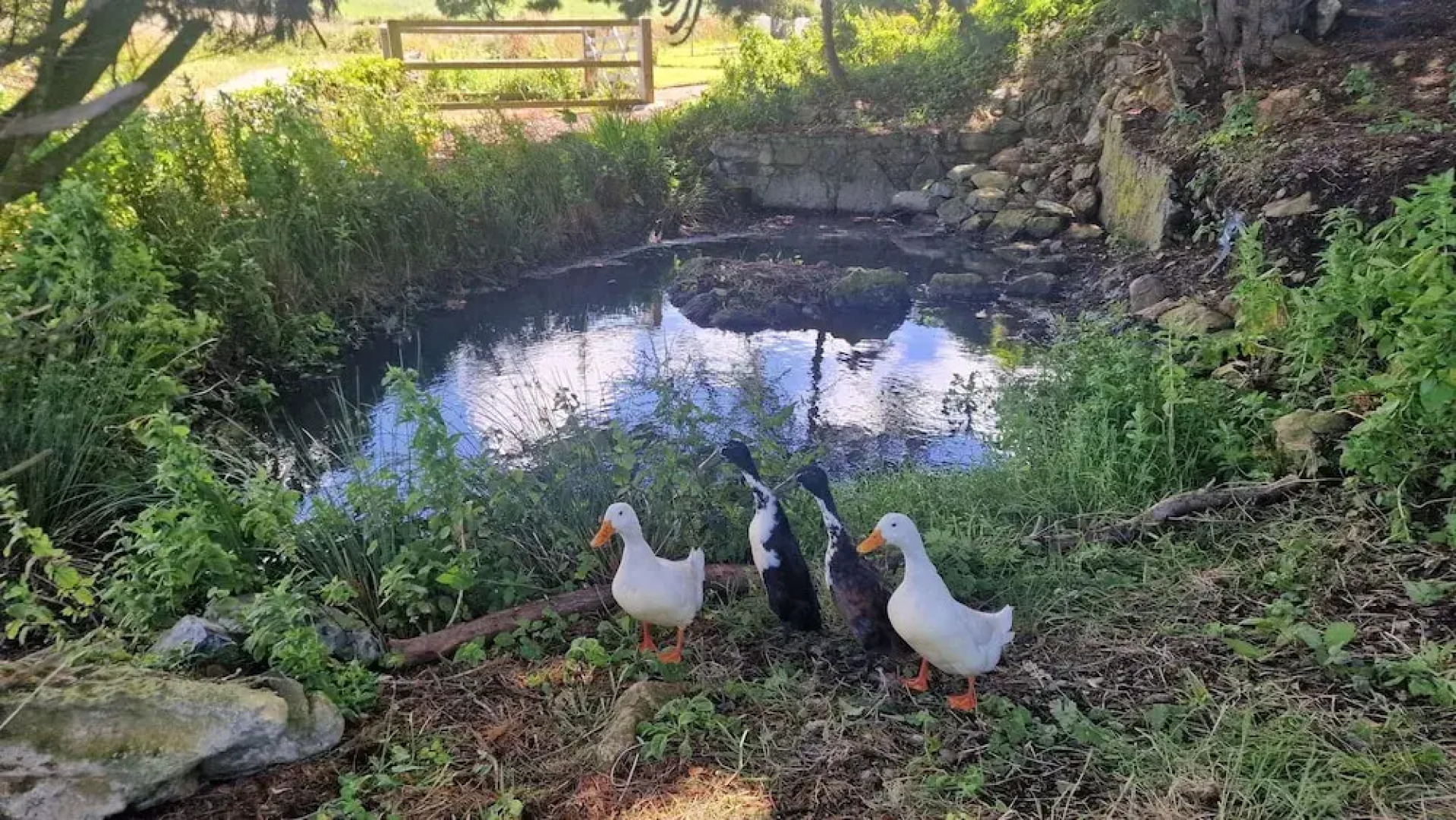 Sea View hut Sleeps 4/6