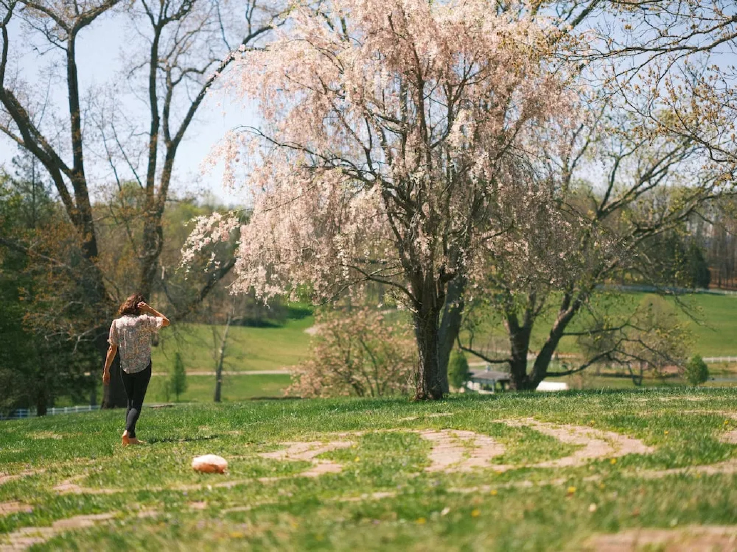 The Horse Shoe Farm