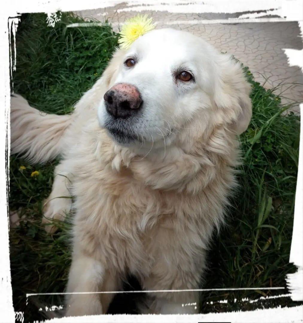 Room in Farmhouse - Agriturismo Abbondanza®