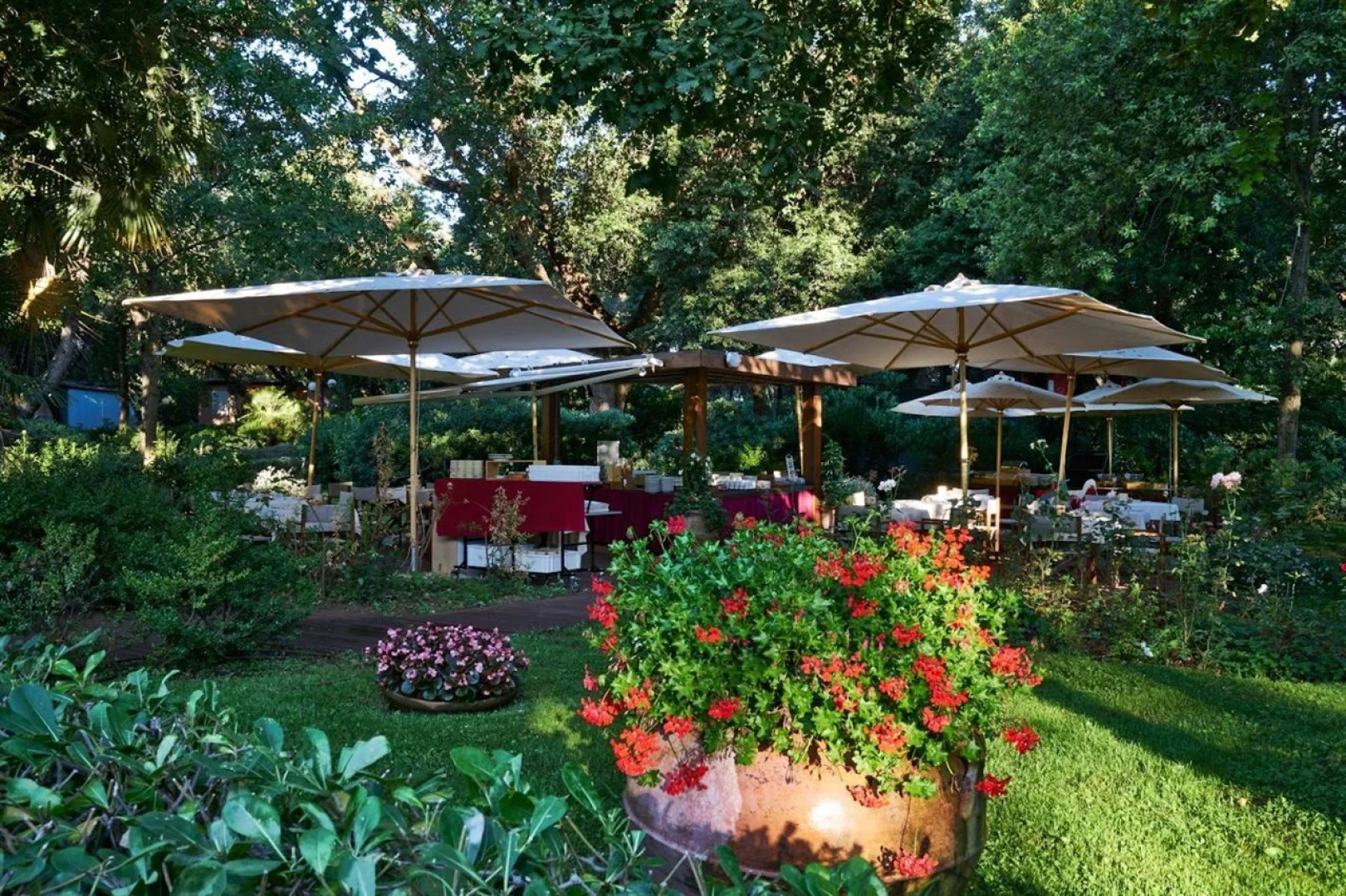 Hotel Riva degli Etruschi