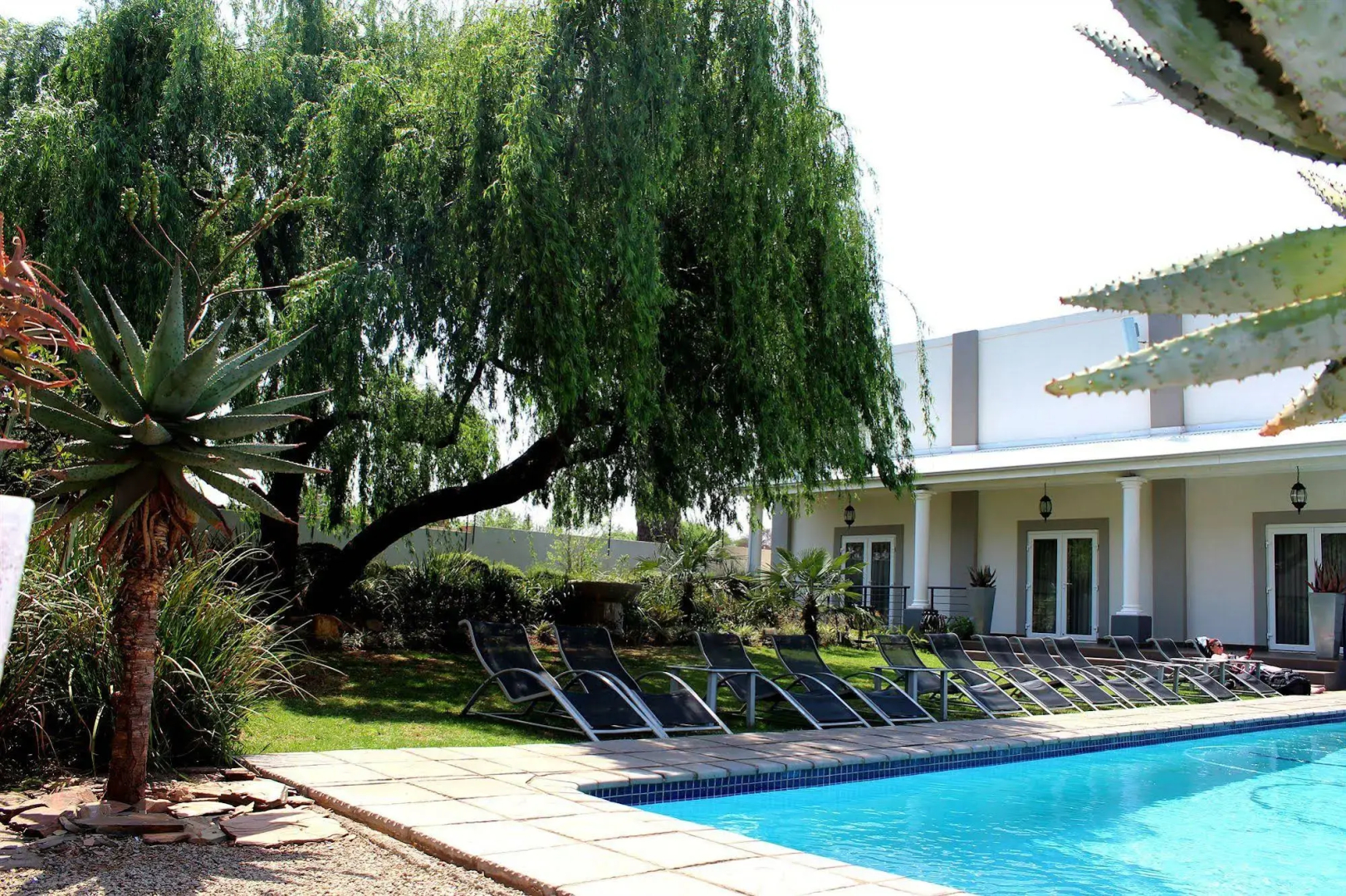 Life Hotel - The Aviator
