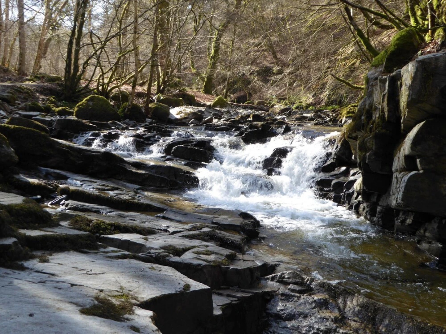 Brae House Bed & Breakfast