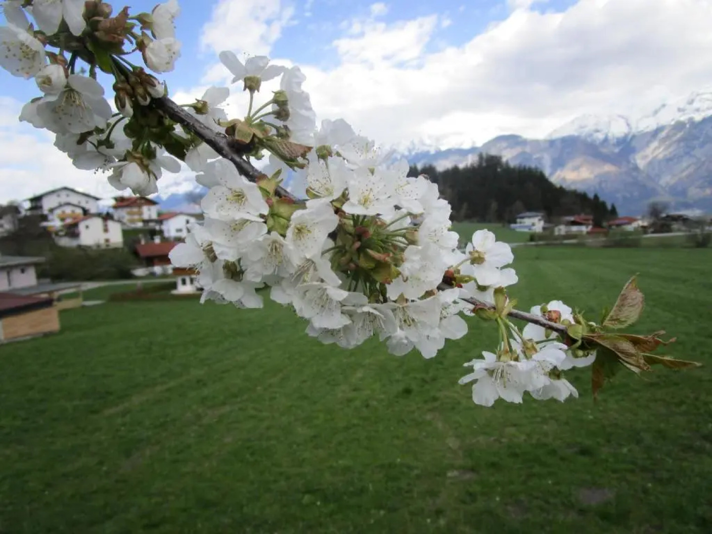Apartments FEICHTNER / Tulfes / Tirol
