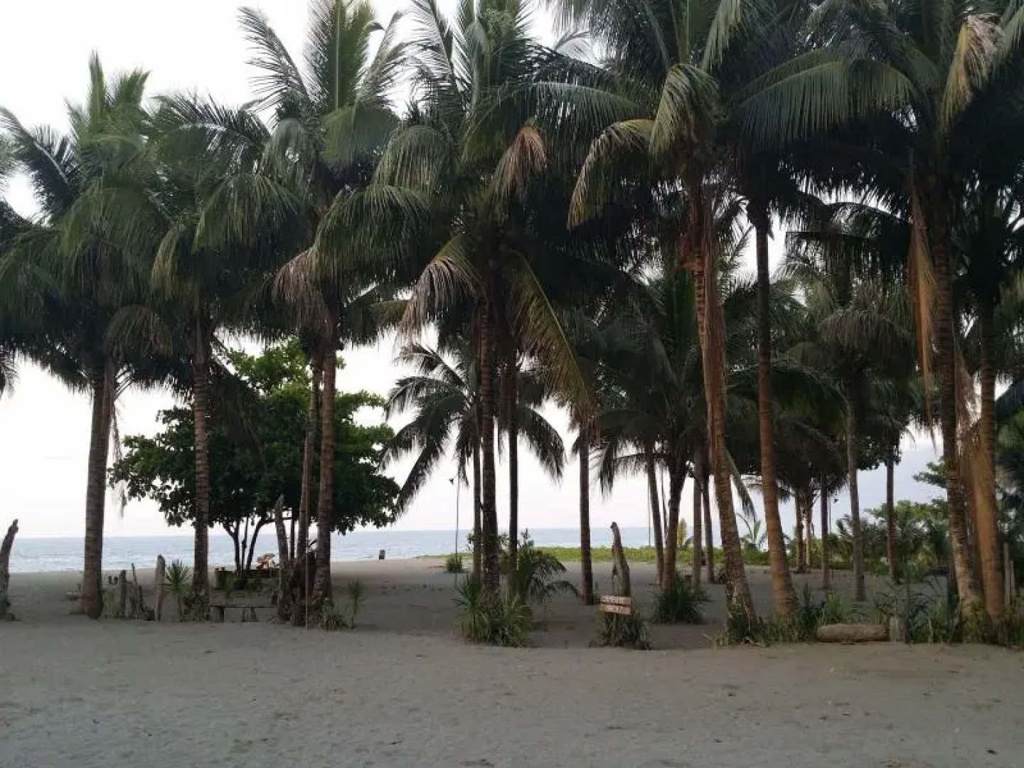 Pannzian Beach Resort