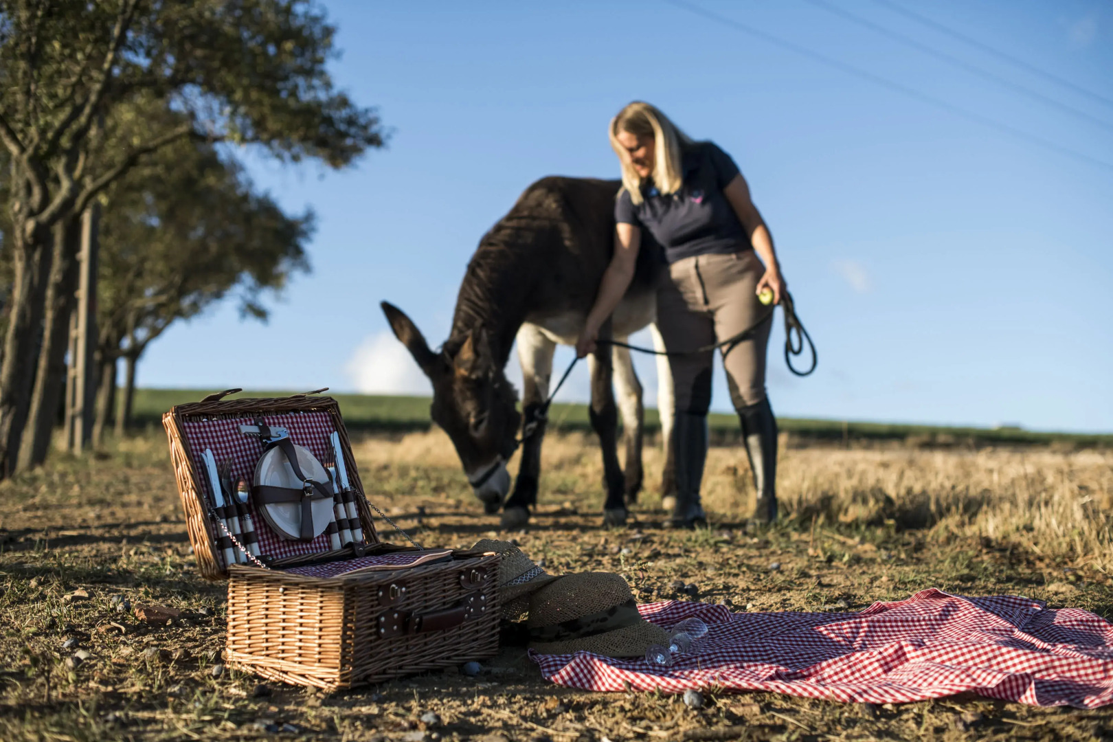 Maison d'hôtes du Mont