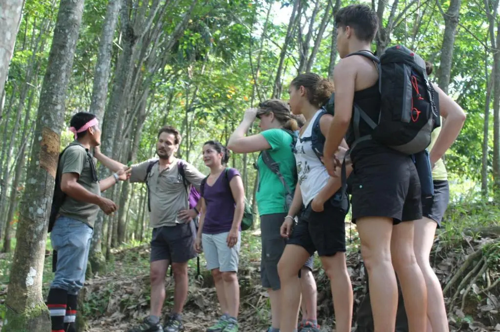 Rain Forest Guest House