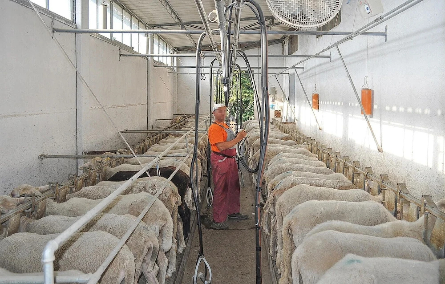 Stunning Apartment in Radicondoli With Outdoor Swimming Pool, Wifi and 2 Bedrooms