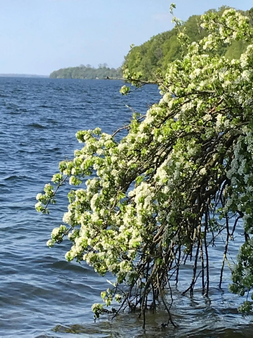 Raben Steinfeld Forststraße 3 Residenzpark