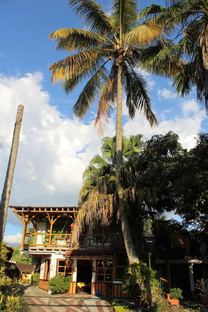 Eco Hotel Las Palmas