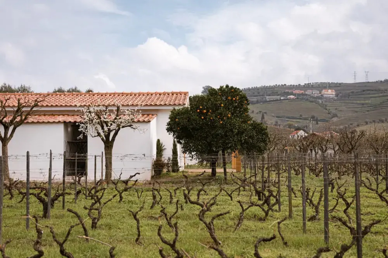 Imago Houses 1 - by MET