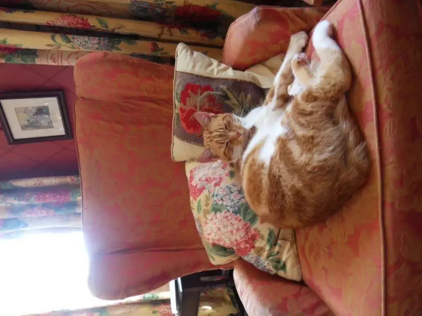 Romney Bay House Hotel