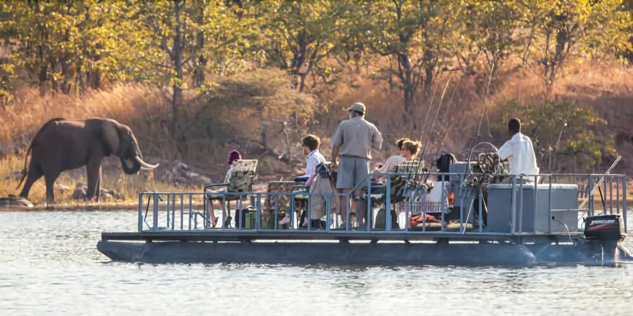 Musango Safari Camp - All-Inclusive