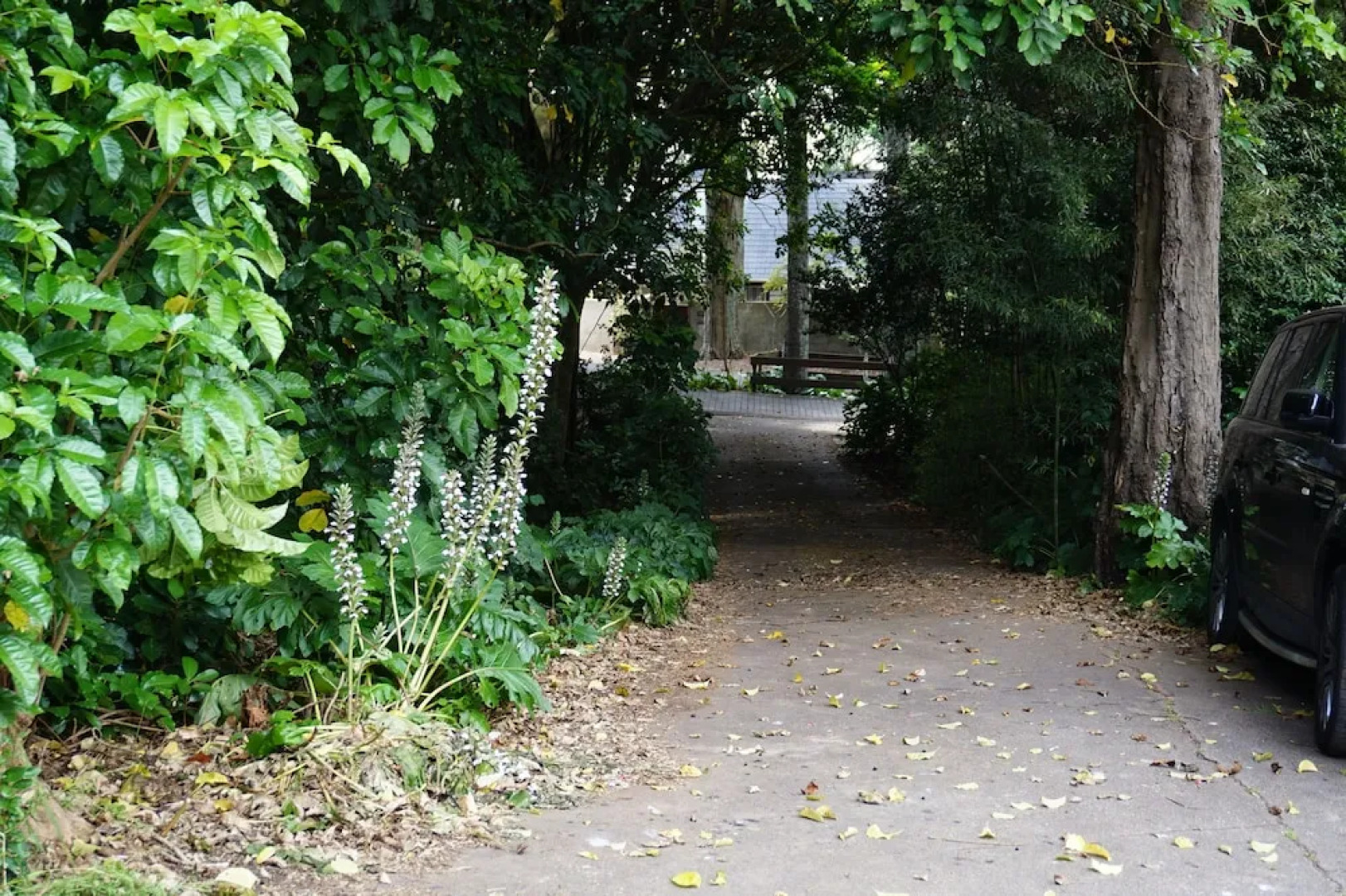 Bush Villa Swimming Pool