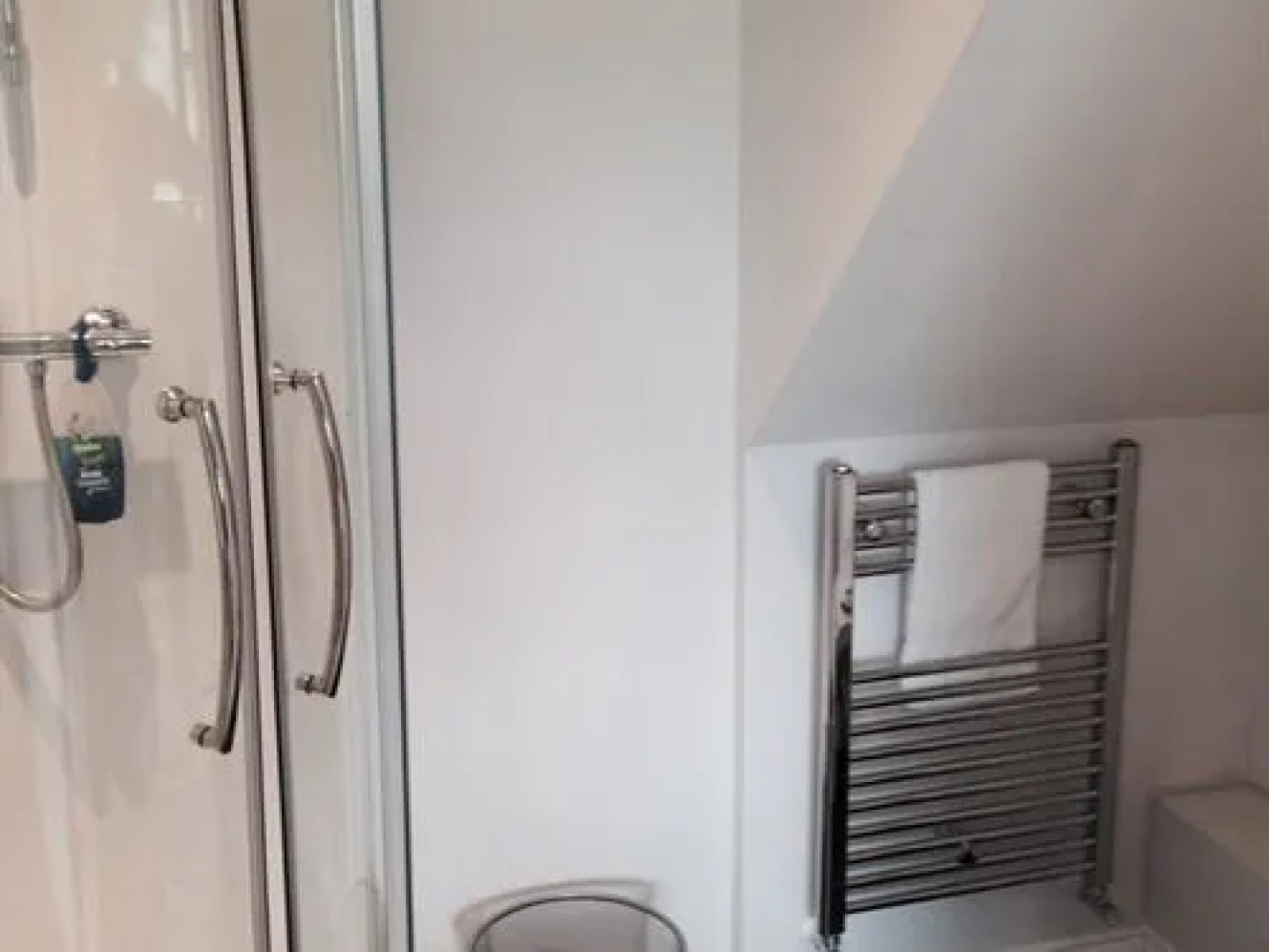 The Queen and Albert