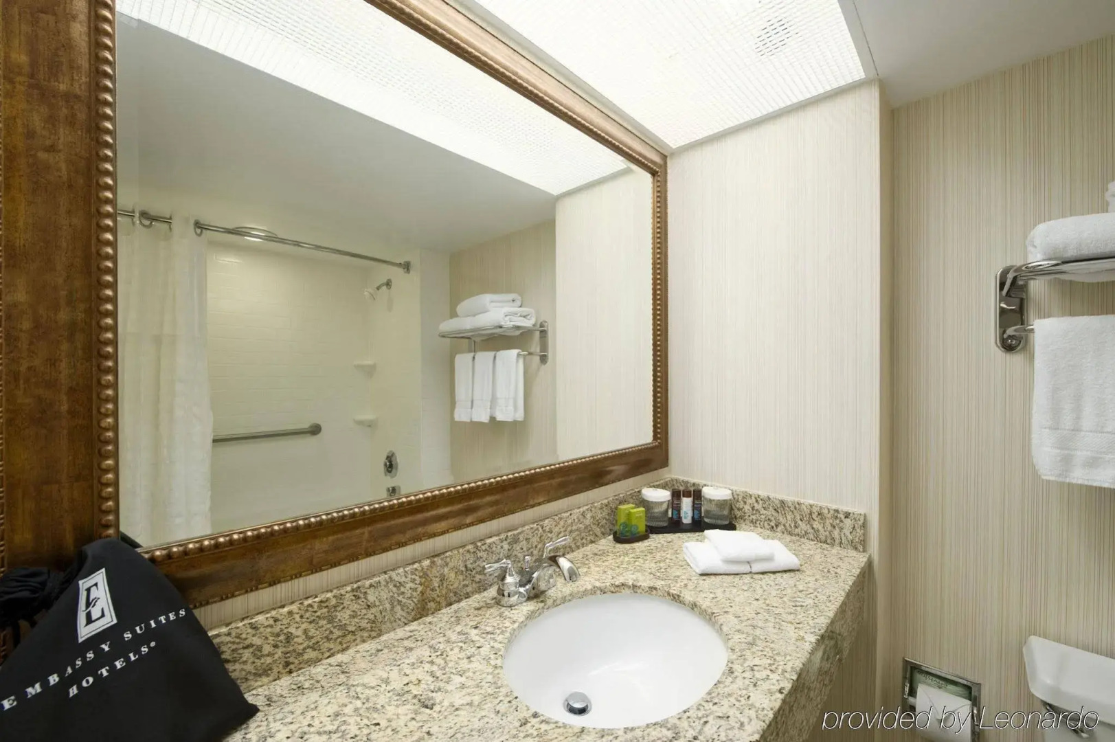 Embassy Suites by Hilton Atlanta Airport