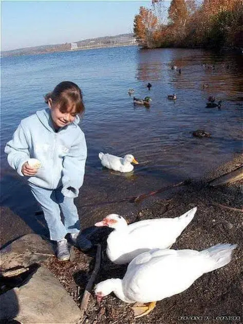 Riverside Resort & Conference Centre