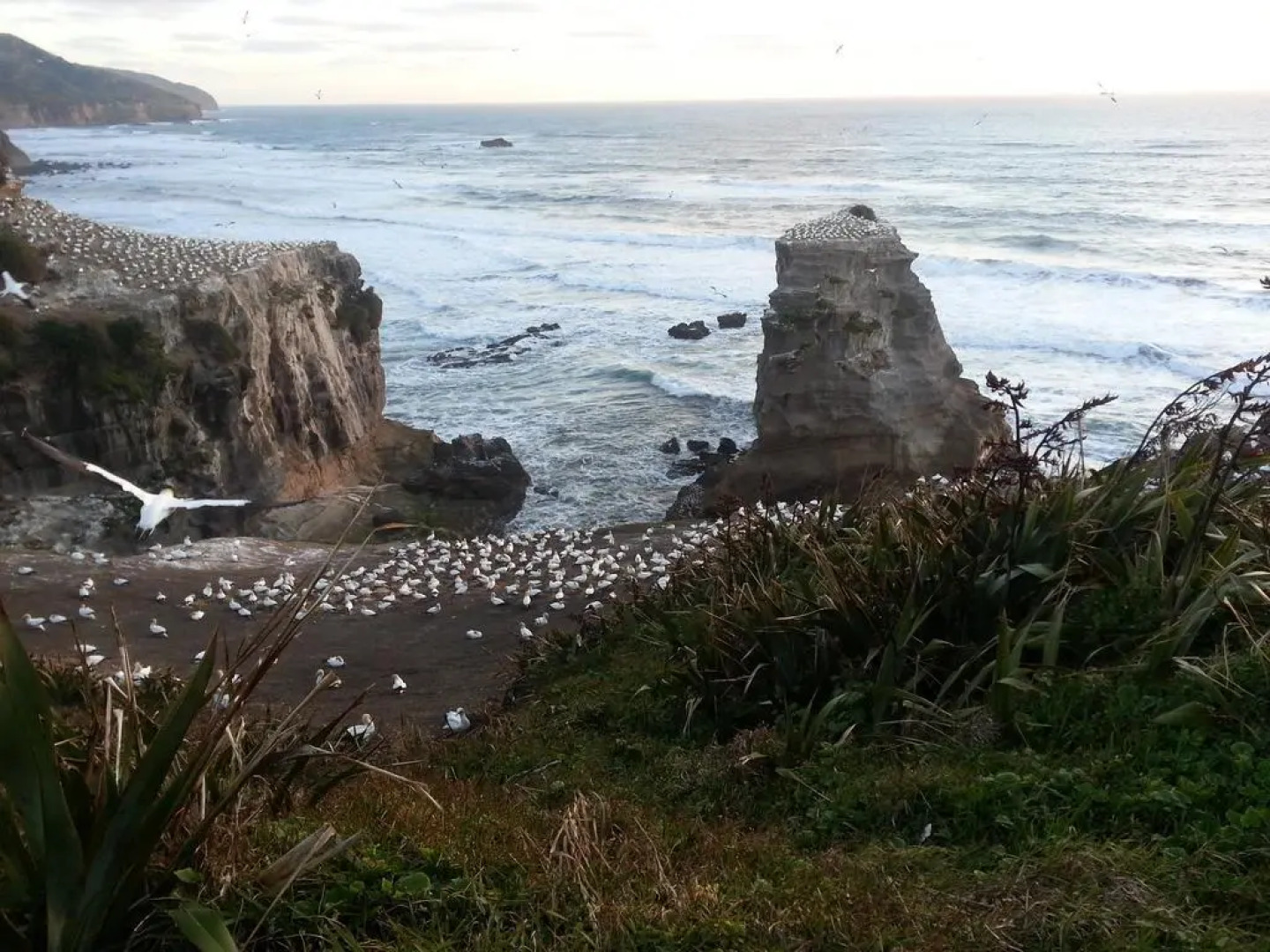 Lush & Co Auckland Bed & Breakfast