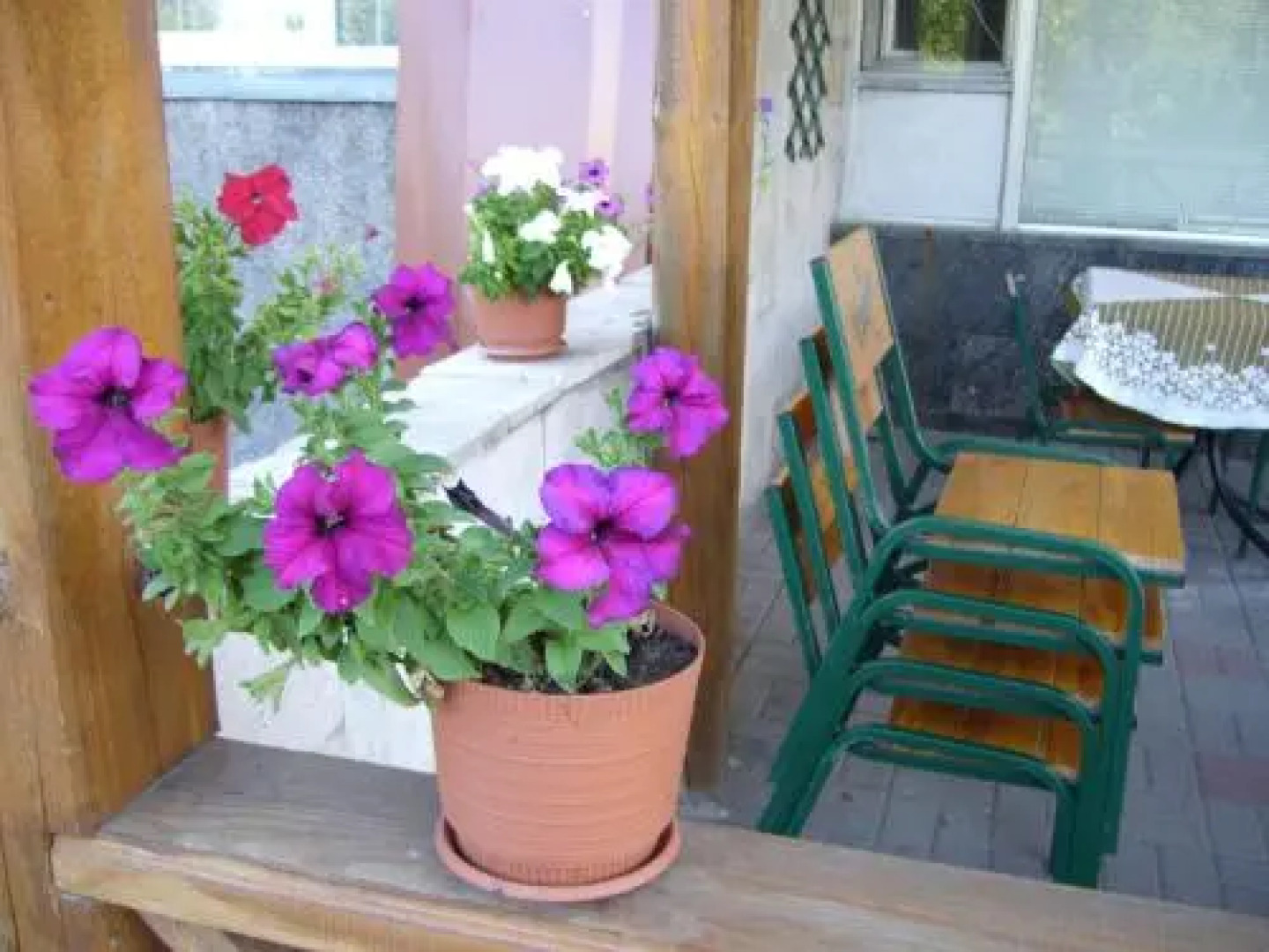 Отель Профспилковый