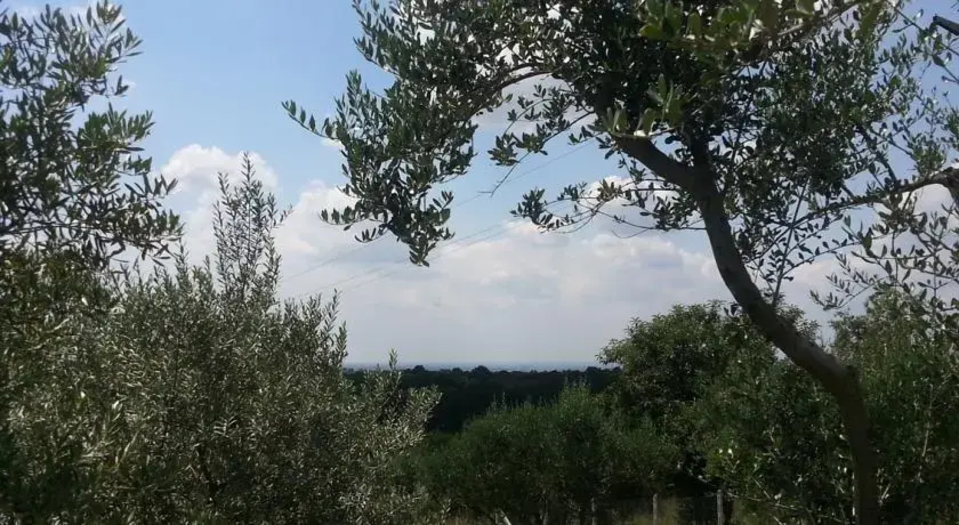 Casa vacanza Gallicano nel Lazio