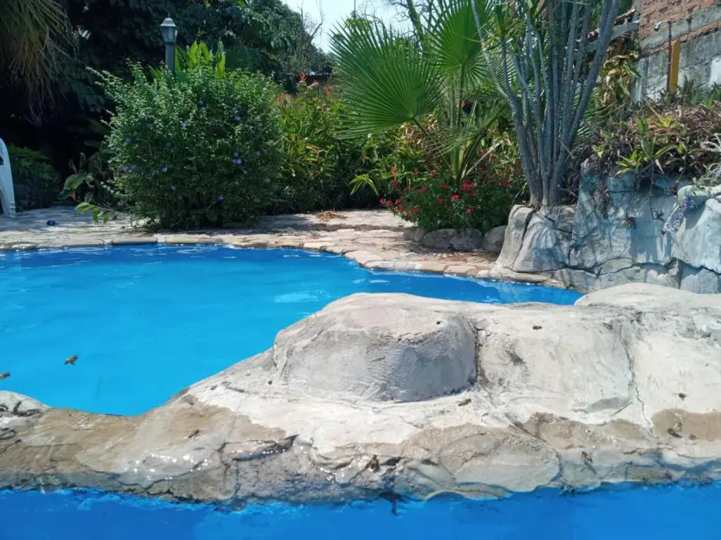 El Jardin Colonial