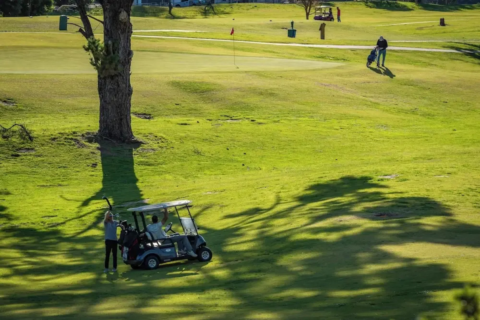 The Fairways