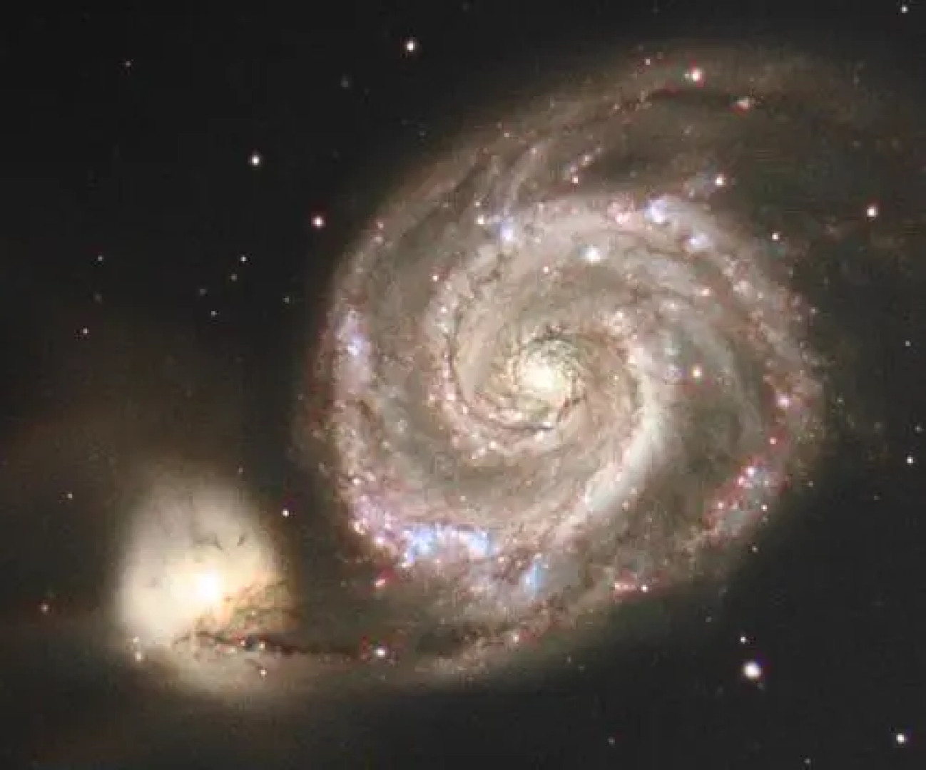 Appartement T2 de l'observatoire