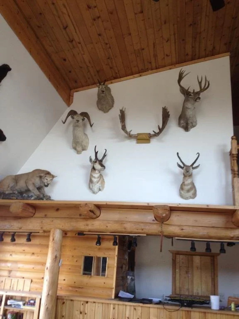 Montanas Duck Lake Lodge