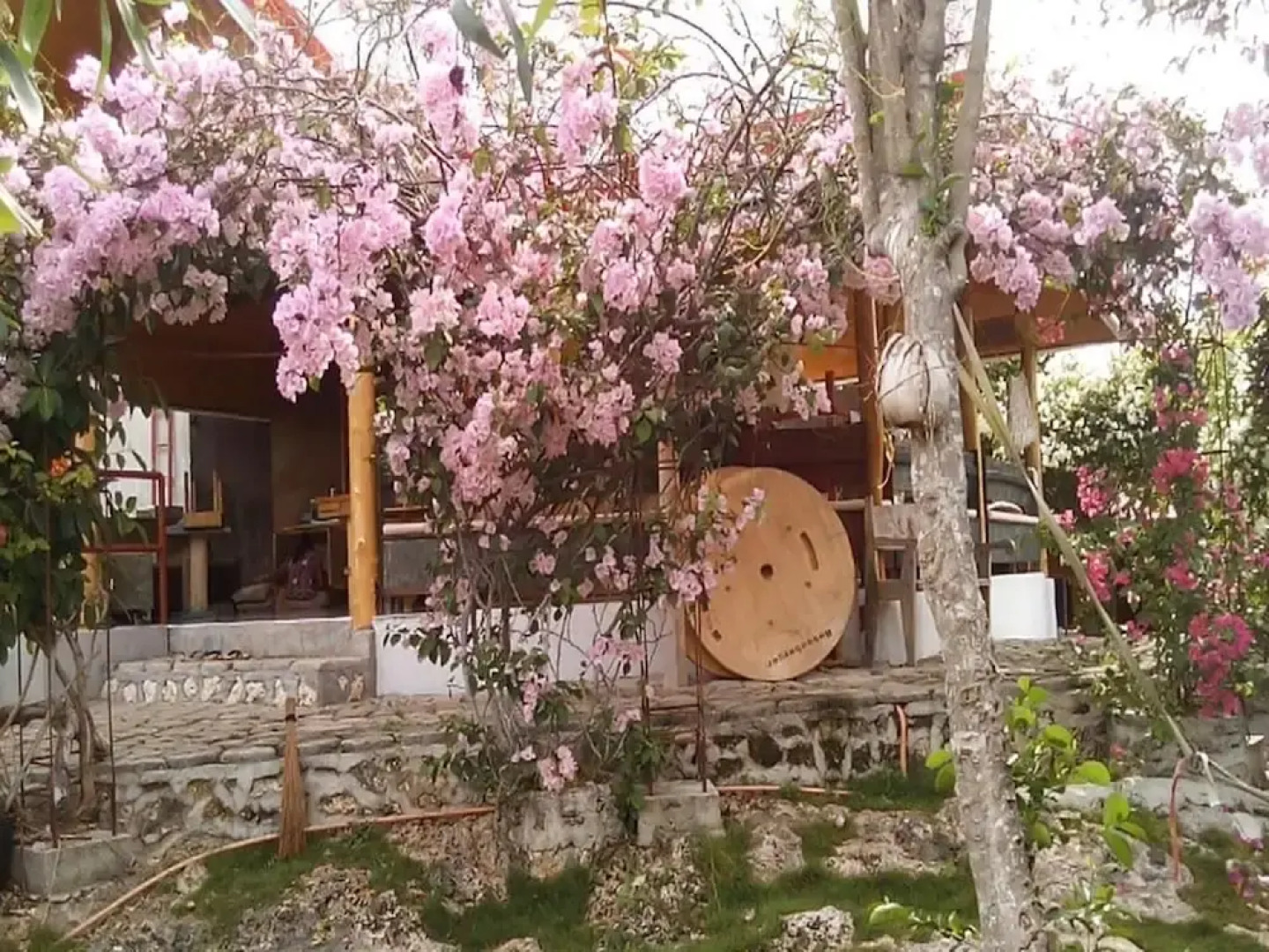 Bougainvillea Paradise Campground